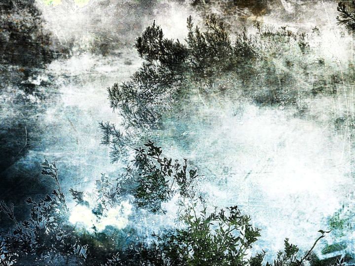 제목이 "Trees in the fog"인 디지털 아트 Pakokante로, 원작, 2D 디지털 작업