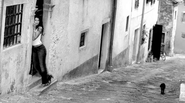 Fotografía titulada "Motovun cats" por Igor Palotay, Obra de arte original,