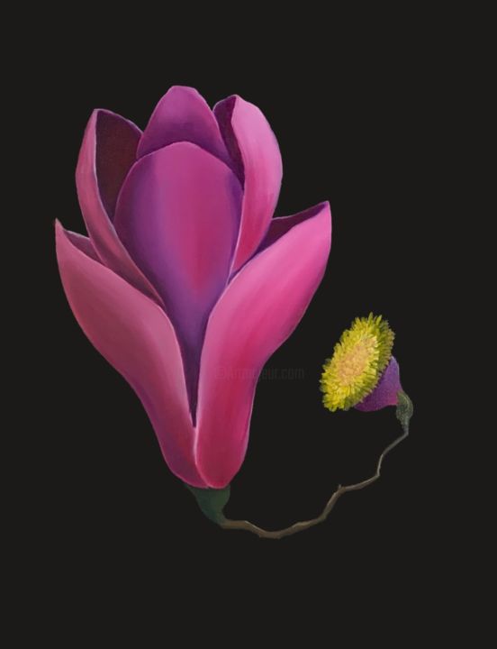 Картина под названием "Pink Magnolia ( sur…" - Kirill Parshenkov (Cyril Black), Подлинное произведение искусства, Масло Уста…