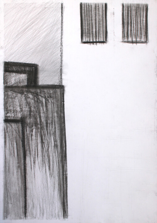 Dessin intitulée "Grey Scale" par Pamela Rys, Œuvre d'art originale, Fusain