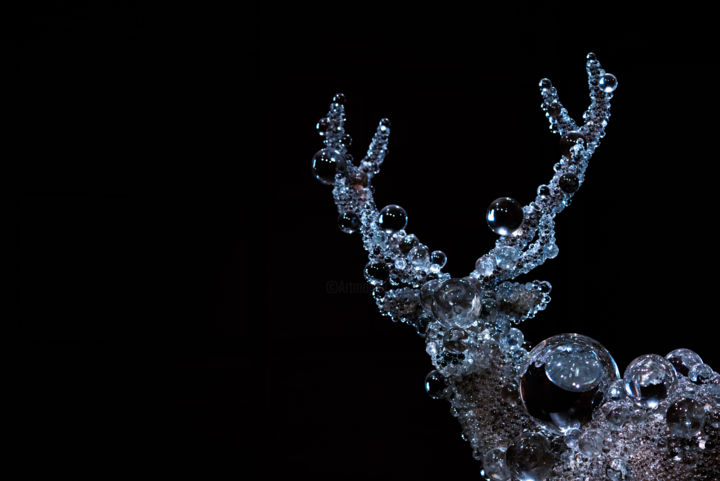 Photography titled "crystal deer" by Karina Panaetova, Original Artwork