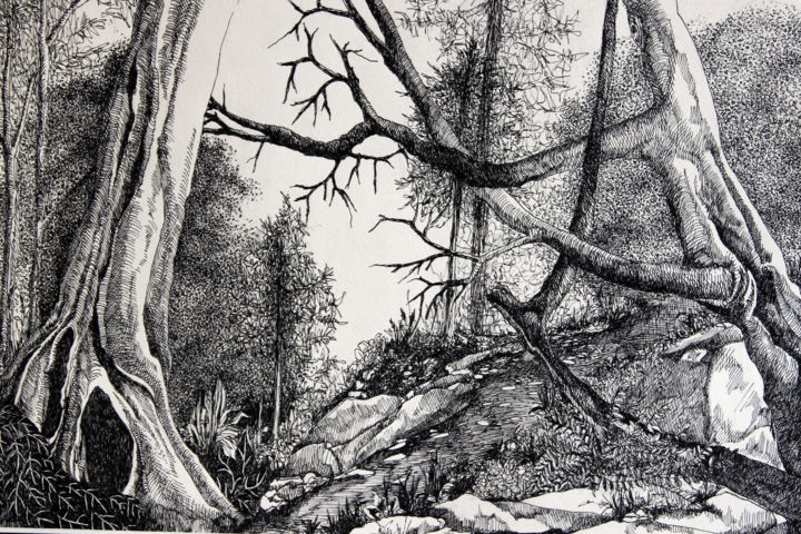 Zeichnungen mit dem Titel "Wald" von Tatjana M. Pankau, Original-Kunstwerk, Tinte