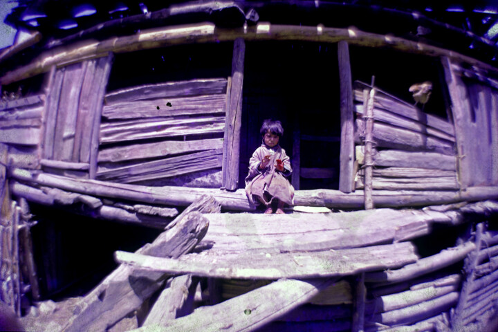 摄影 标题为“Wooden Hut” 由Panna Jain, 原创艺术品, 电影摄影