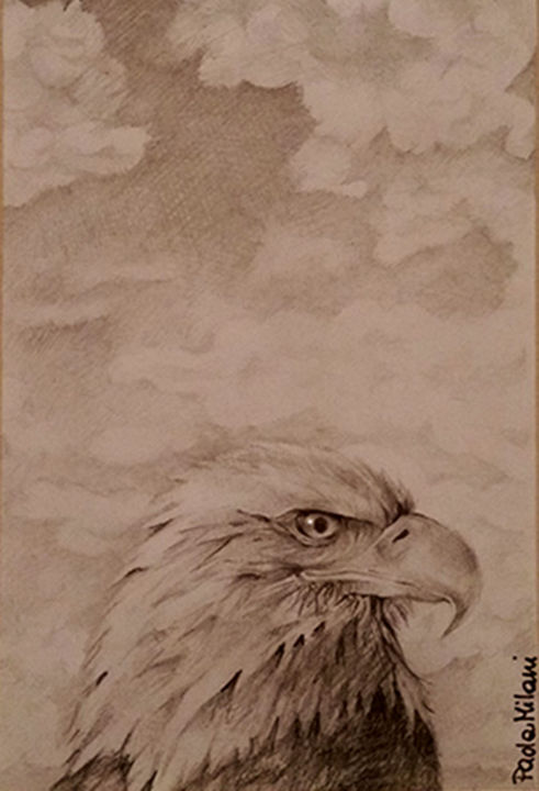 Drawing titled "Aquila - studio" by Paola Milani, Original Artwork, Graphite