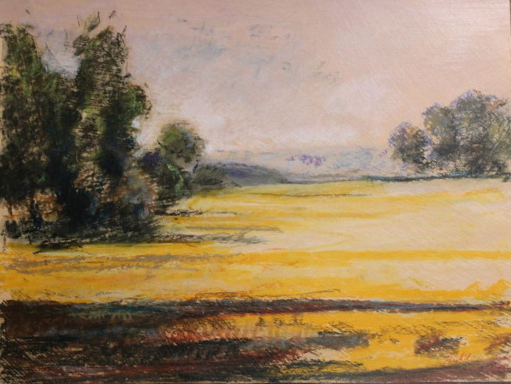 Painting titled "campo" by Paolo Archilei, Original Artwork, Pastel