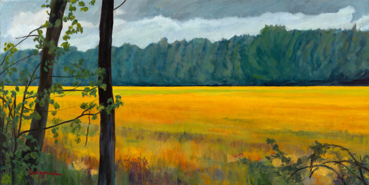 Painting titled "Campo nel Delta" by Paolo Campogrande, Original Artwork, Oil