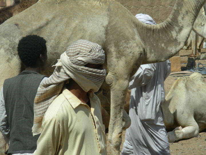 Fotografia intitolato "Sudan" da Il Senzaterra, Opera d'arte originale