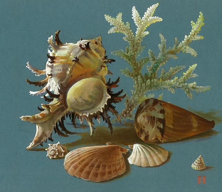 Картина под названием "Раковины и кораллы" - Pavel Paramonov, Подлинное произведение искусства, Масло