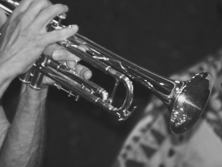 Photographie intitulée "trompette" par Françoise Giaud, Œuvre d'art originale, Photographie numérique
