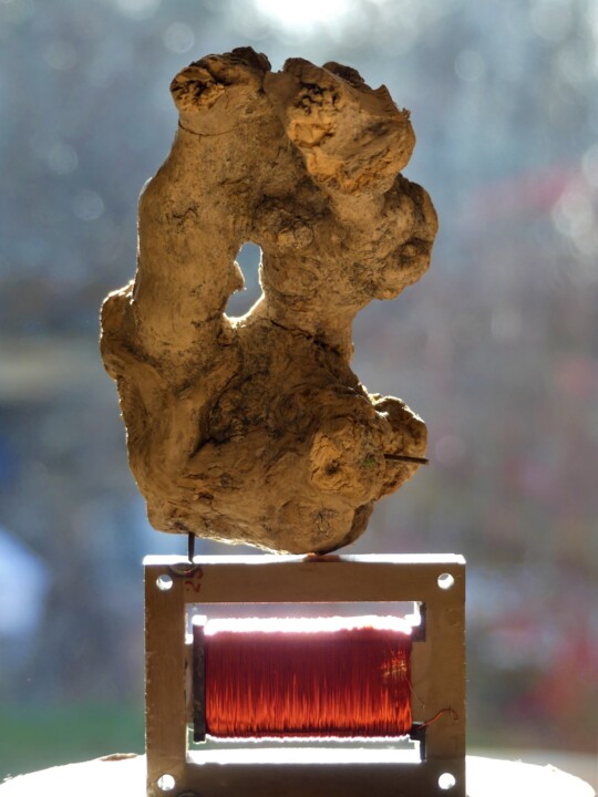 Sculpture intitulée "Tête de Buis .2" par Pascal Borgo, Œuvre d'art originale, Bois