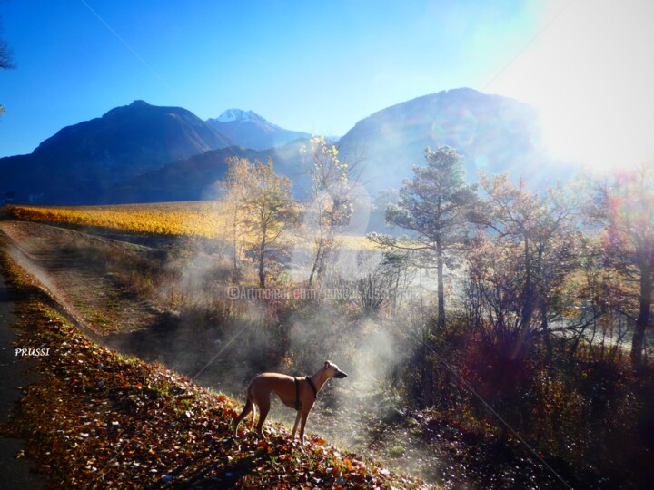 Photographie intitulée "Automne valaisan." par Pascal Russi (PRussi), Œuvre d'art originale