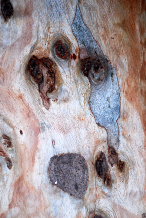 Fotografia intitolato "Art en arbres" da Pascal Ducroux, Opera d'arte originale, Fotografia digitale