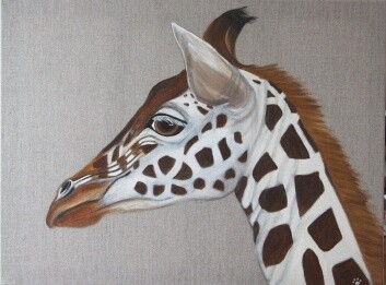 Картина под названием "FLO la girafe" - Pascale Pfeiffer, Подлинное произведение искусства, Акрил