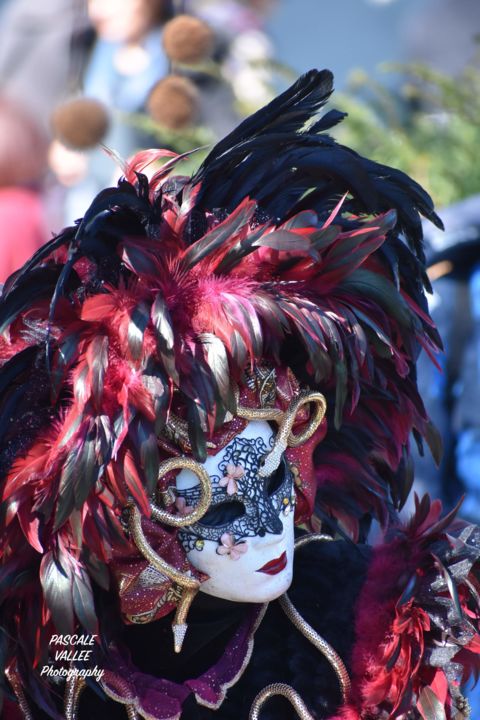 Photographie intitulée "Carnaval 1 - Masque…" par Pascale Vallée, Œuvre d'art originale, Photographie numérique