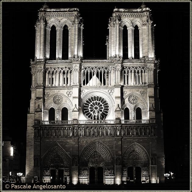 Fotografie mit dem Titel "Notre Dame" von Pascale Angelosanto, Original-Kunstwerk