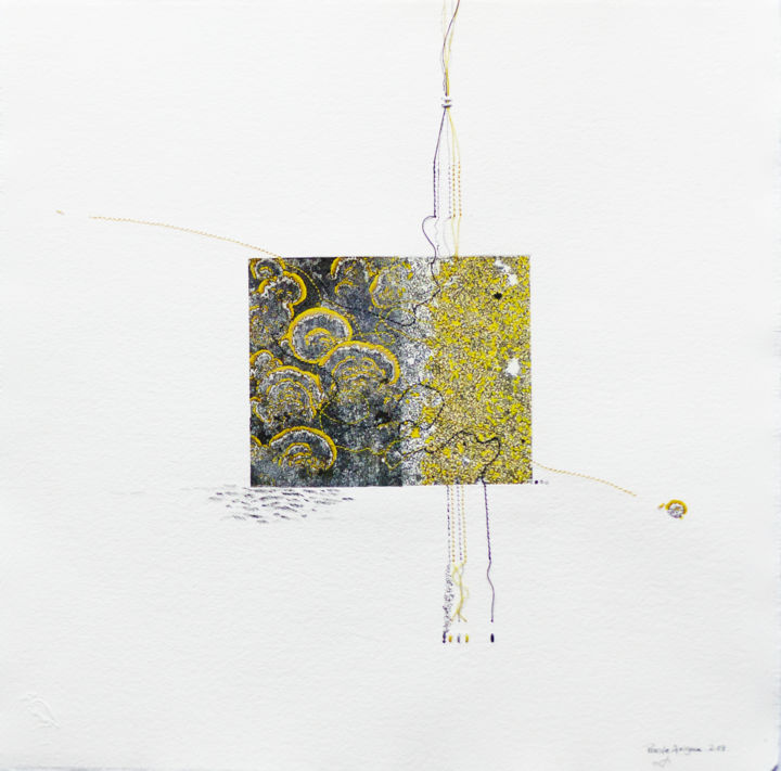 Gravures & estampes intitulée "lichens" par Pascale Aurignac, Œuvre d'art originale, Encre