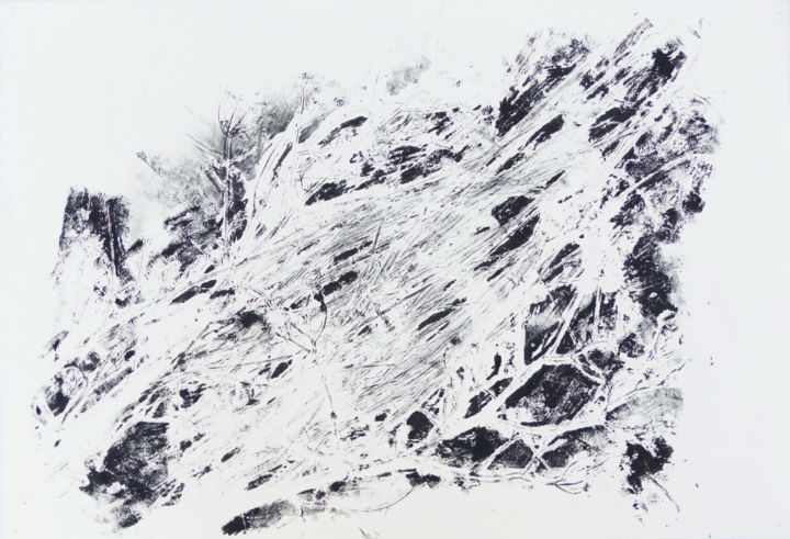 Dessin intitulée "Noir sous l'herbe c…" par Pascale Aurignac, Œuvre d'art originale, Encre