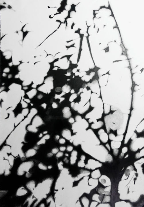 「Moisson d'ombres n°4」というタイトルの描画 Pascale Aurignacによって, オリジナルのアートワーク, グラファイト