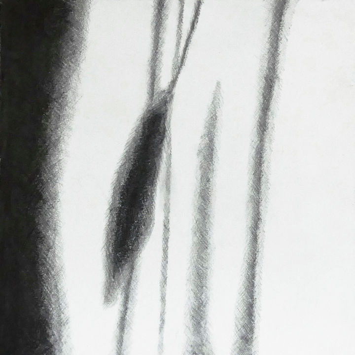 Dessin intitulée "Moisson d'ombres 1" par Pascale Aurignac, Œuvre d'art originale, Crayon