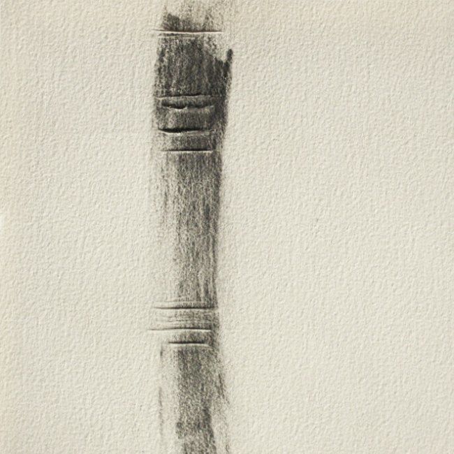 Drawing titled "jour 8 - 04.11.2012" by Pascale Aurignac, Original Artwork, Graphite
