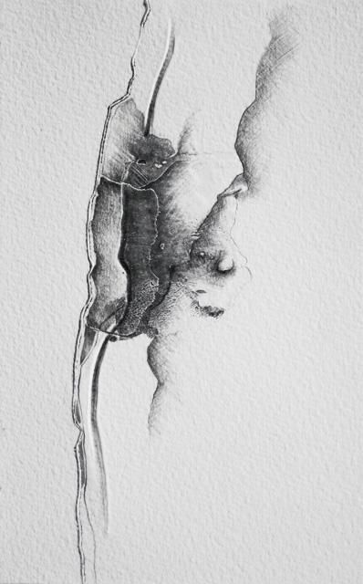 Drawing titled "jour 91 - 26.01.2013" by Pascale Aurignac, Original Artwork, Graphite