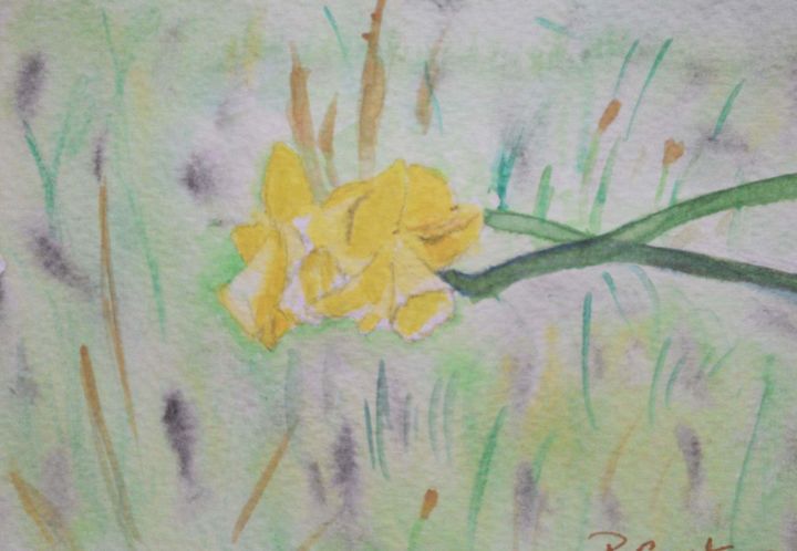 Painting titled "fleur jaune de prin…" by Pascale Coutoux, Original Artwork, Watercolor
