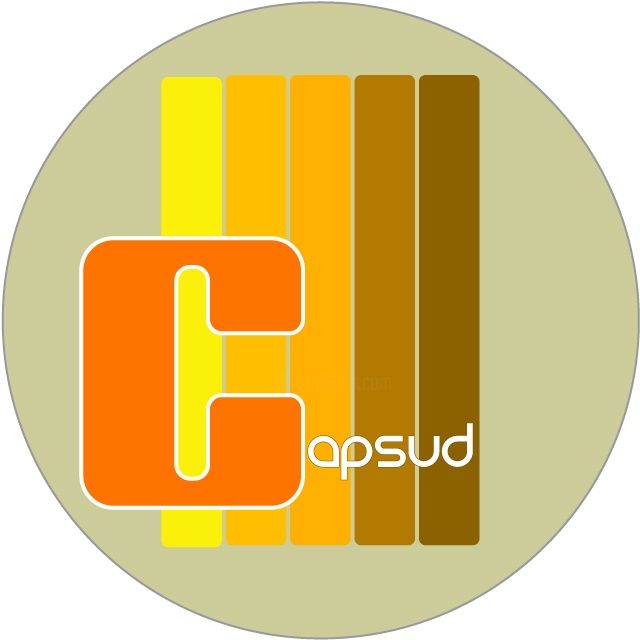 Digitale Kunst getiteld "CAP SUD LOGO POUR C…" door Pascal Goossens, Origineel Kunstwerk