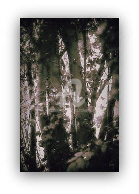 Photography titled "la-foret-en-retour-…" by Pascaline, Original Artwork