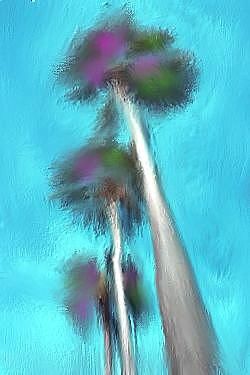 Peinture intitulée "palmtreesggffs.jpg" par David, Œuvre d'art originale