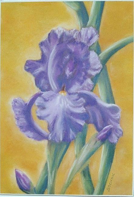 Painting titled "Iris" by Fabienne Sochan, Original Artwork