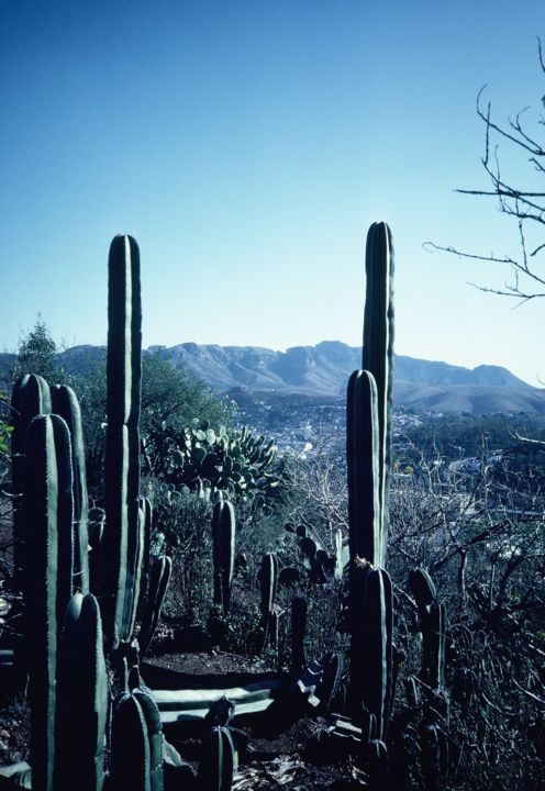 Fotografia intitulada "Mexico 1" por Patrick Daubard, Obras de arte originais