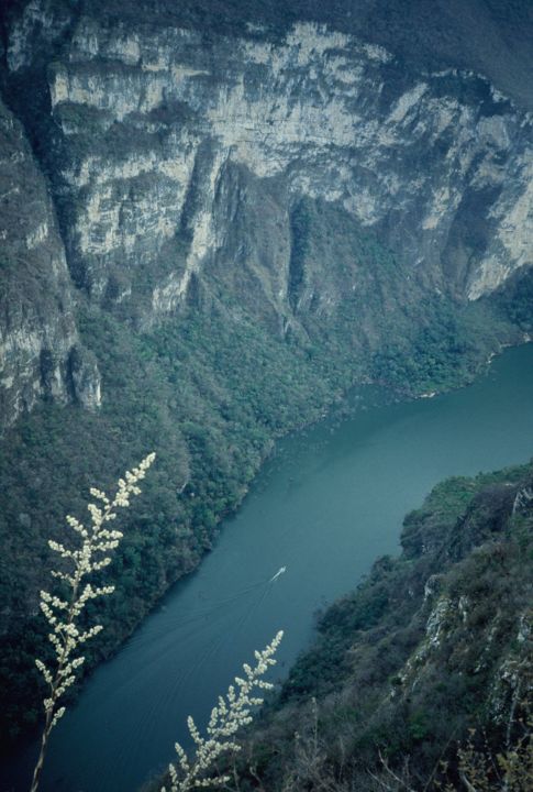 Fotografia intitulada "Sumidero" por Patrick Daubard, Obras de arte originais,