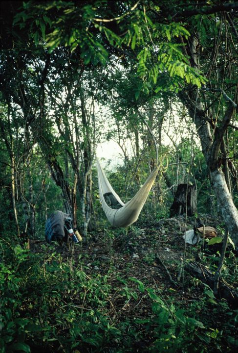 Fotografia intitulada "Jungle 2" por Patrick Daubard, Obras de arte originais,