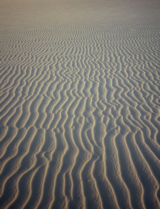 Photography titled "Dune" by Patrick Daubard, Original Artwork
