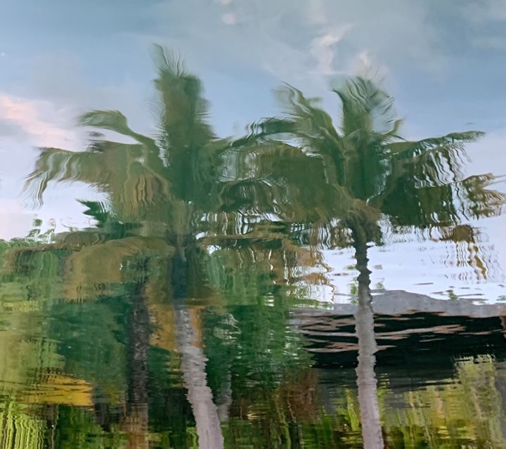 Fotografía titulada "reflets palmés" por Pati Guyot, Obra de arte original, Fotografía digital