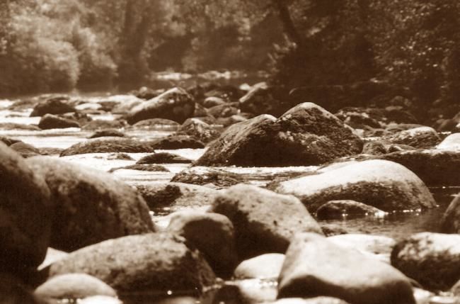 Fotografie getiteld "river in Dartmoor" door Pato Van Hecke, Origineel Kunstwerk
