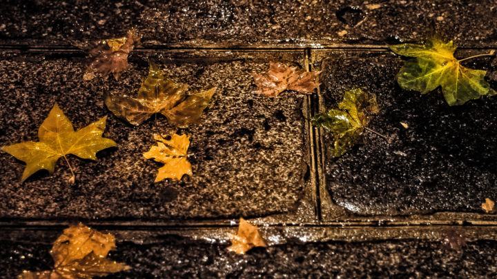 Photography titled "Pavés d'automne" by Patrice Corbin, Original Artwork