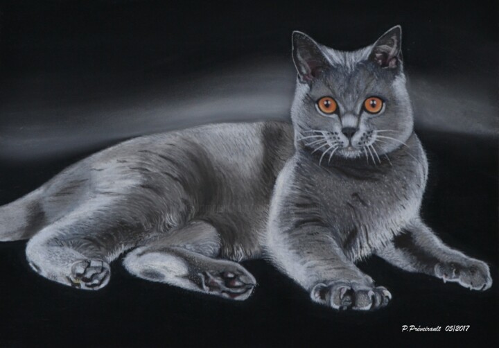 Drawing titled "Chartreux" by Patrice Preveirault, Original Art, Pastel