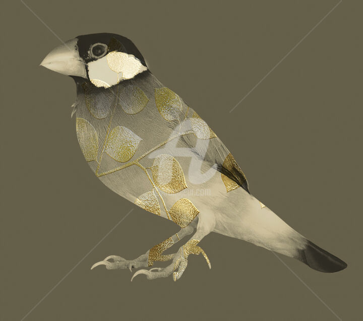 Arte digital titulada "Gold Bird" por Patricia Antonio, Obra de arte original, Pintura Digital
