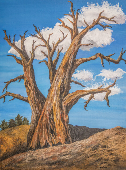 Painting titled "Ancient Tree" by Patricia Gould, Original Artwork, Acrylic Mounted on Wood Stretcher frame
