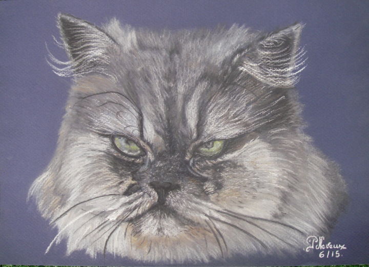 Dessin intitulée "chat :portrait de W…" par Patricia Neveux, Œuvre d'art originale, Pastel
