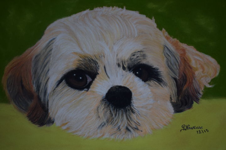 Dessin intitulée "Câline(petite chien…" par Patricia Neveux, Œuvre d'art originale, Pastel