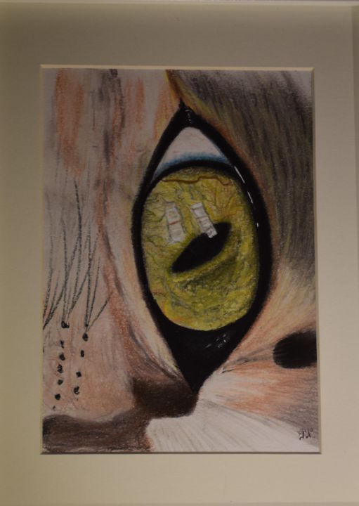 Drawing titled "œil de chat" by Patricia Neveux, Original Artwork, Pastel