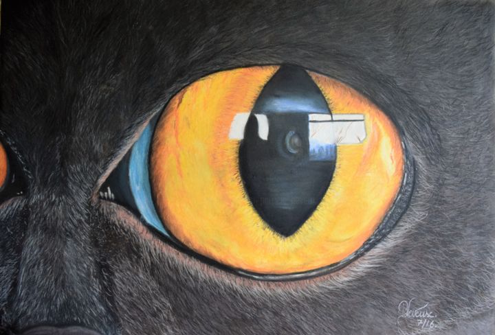 œil De British Shorthair Chat Drawing By Patricia Neveux Artmajeur œil De British Shorthair Chat Drawing By Patricia Neveux Artmajeur