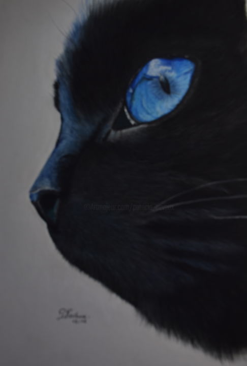 Dessin intitulée "Et si les chats éta…" par Patricia Neveux, Œuvre d'art originale, Pastel