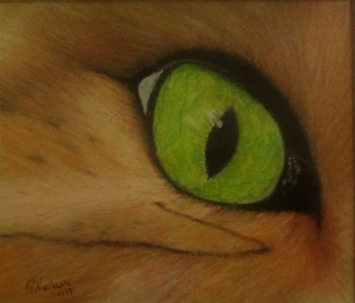 Disegno intitolato "œil de chat 3" da Patricia Neveux, Opera d'arte originale, Pastello