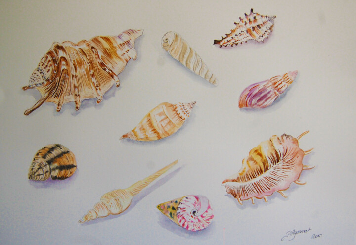 Painting titled "coquillages- aquare…" by Patricia Hyvernat, Original Artwork, Watercolor