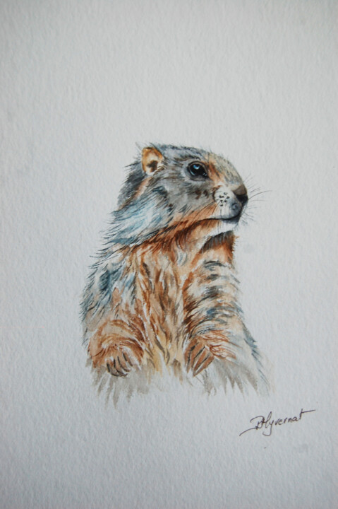 Painting titled "petite marmotte - a…" by Patricia Hyvernat, Original Artwork, Watercolor