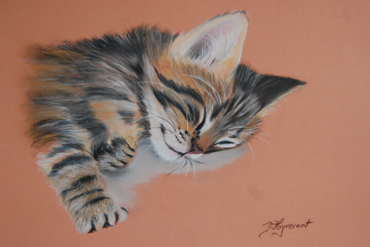 Dessin intitulée "chaton endormi- pas…" par Patricia Hyvernat, Œuvre d'art originale, Pastel