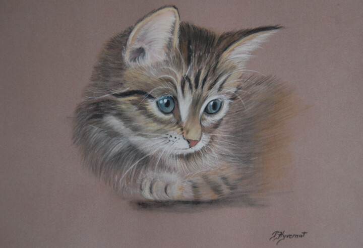 Drawing titled "Pussy chaton tigré…" by Patricia Hyvernat, Original Artwork, Pastel